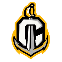 阿雷西博首发队徽